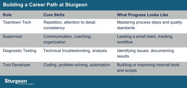 Career path table at Sturgeon: Teardown Tech to Tool Developer roles