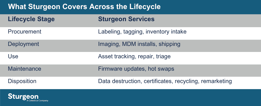 Table: Sturgeon services across IT asset lifecycle stages