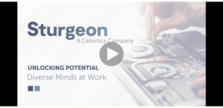 Sturgeon unlocking potential: Diverse minds at work on circuit board repair